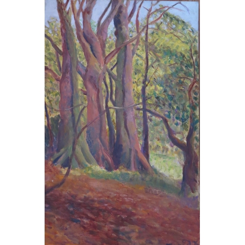 569 - Jamie 76, Woodland Scene, acrylic on canvas