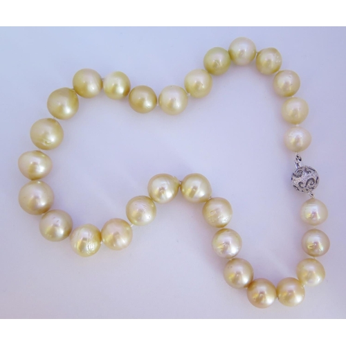 60 - A South Sea Pearl Necklace with a 14ct and diamond clasp