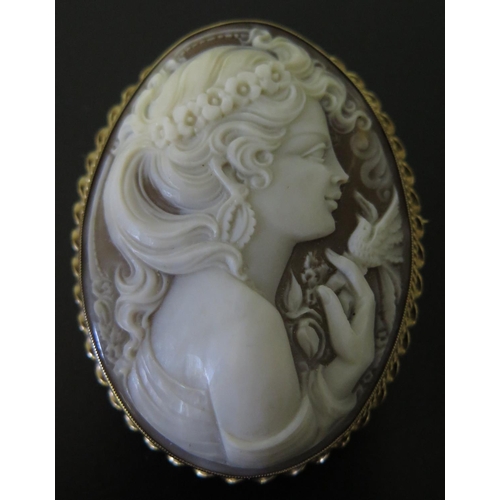 646 - A Large 9ct Gold Framed Shell Cameo Brooch, 64x50mm, 20.1g