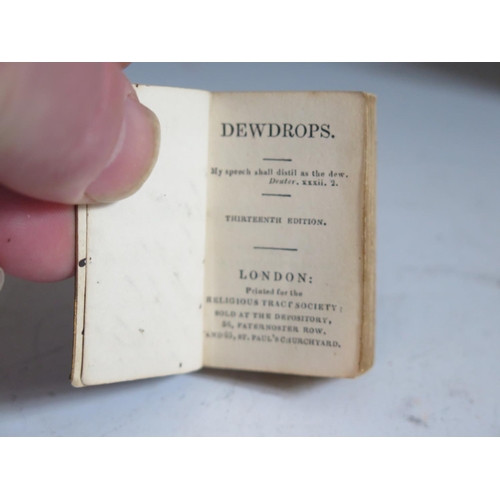 262 - Two Miniature Books _ Dewdrops (Religious Tract Society), one with inscribed date 1839