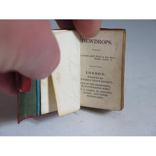 262 - Two Miniature Books _ Dewdrops (Religious Tract Society), one with inscribed date 1839