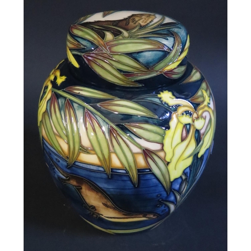 8 - A Modern Moorcroft Limited Edition Otter Decorated Ginger Jar by Sian Leeper 2004, 48/150, 18cm, 20.... 