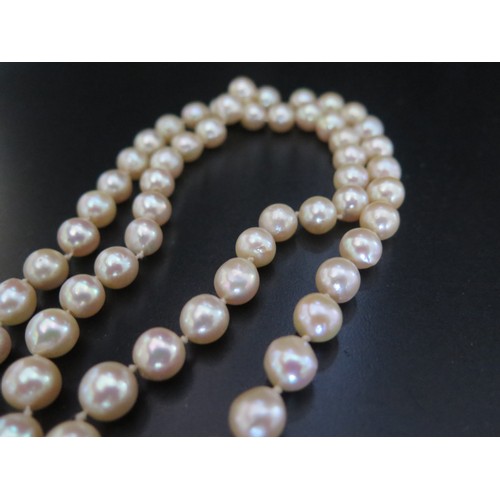 893 - A Single Strand Pearl Necklace with a large white opal and blue stone pendant, the 15.5mm singlet op... 