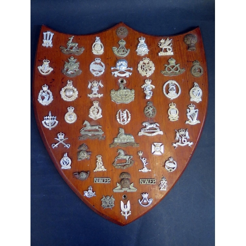 464 - A Collection of British Army Cap Badges mounted on a wooden shield, 46cm high