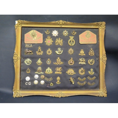 465 - A Mounted Collection of British Army Cap Badges and two Coldstream Guards named plaques, 58x48cm