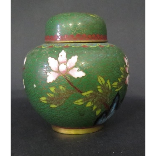 1020 - A Chinese Cloisonné Ginger Jar decorated with chrysanthemums, c. 10cm