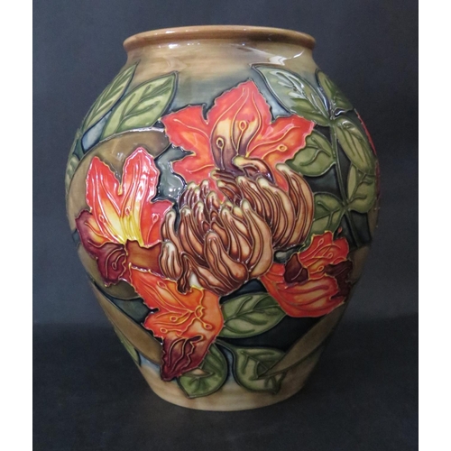 1144 - A Modern Moorcroft Flame of The Forest Vase, 4/8, Philip Gibson Catalogue, 1998, 21cm