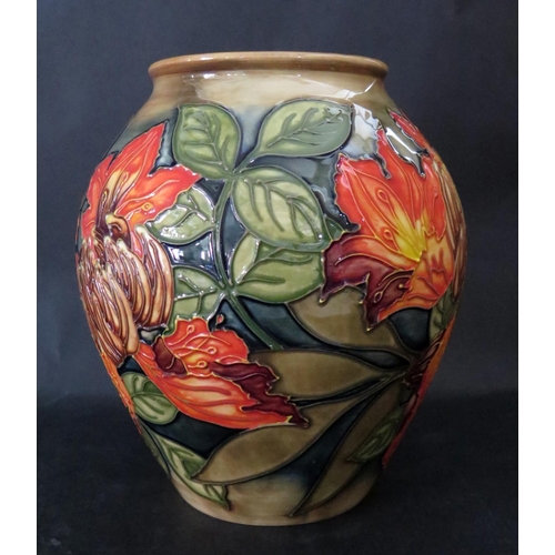 1144 - A Modern Moorcroft Flame of The Forest Vase, 4/8, Philip Gibson Catalogue, 1998, 21cm