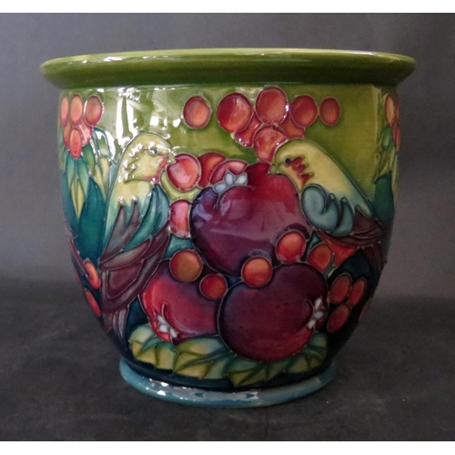 1163 - A Modern Moorcroft Finches Green Planter, 530/6, Sally Tuffin Catalogue, 1991, 16.5cm