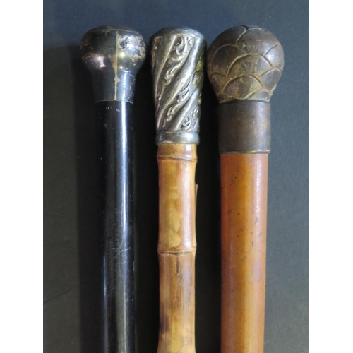 1212 - A Silver Top Ebony Cane, 91cm (slight faults)  and two others