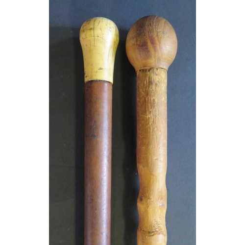 1214 - A Victorian Ivory Top Malacca Walking Cane (85cm) and one other