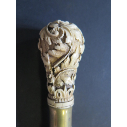 1216 - A 19th Century Cane with acanthus leaf carved ivory or bone finial, 89cm