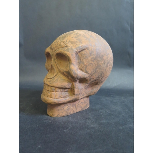 1566a - A Modern Cast Iron Skull