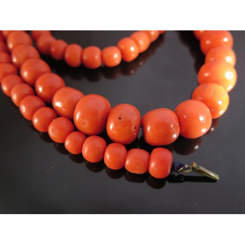 215 - A Large 19th Century Graduated Coral Bead Necklace, largest 19mm, 73cm, 131g