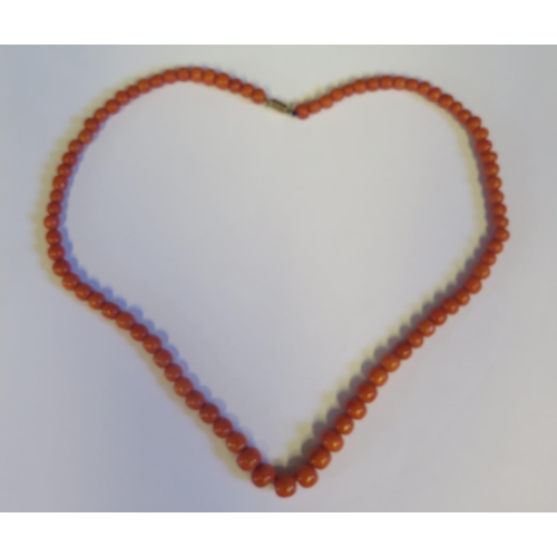 215 - A Large 19th Century Graduated Coral Bead Necklace, largest 19mm, 73cm, 131g