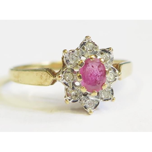 290 - A 9ct Gold Ruby and Diamond Cluster Ring, size M, 1.6g