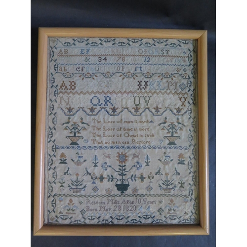 881a - A William IV Sampler worked by Rebecca Mills Aged 10 Years Born May 28 1820, 30.5x24.5cm