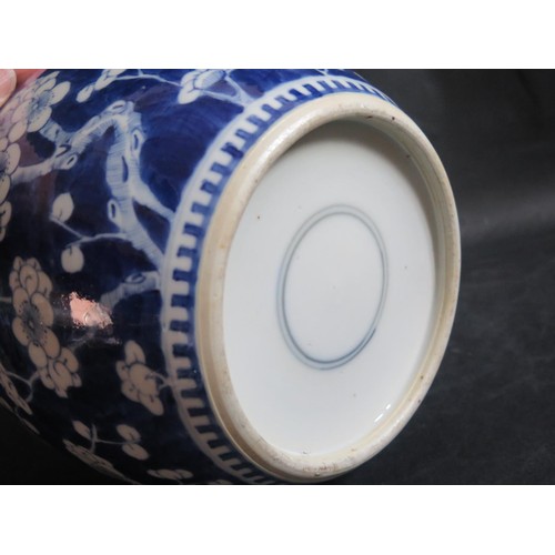 1030A - A Chinese Republican Period Blue and White Porcelain Prunus Decorated Ginger Jar, 24.5cm high