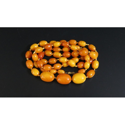 143 - A Baltic Amber Graduated Bead Necklace, 52.4g, 98cm, largest 23x16mm