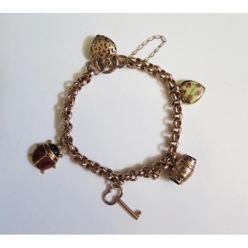 284 - A 9ct Gold Charm Bracelet with various charms including 18ct enamelled ladybird, 15.5g