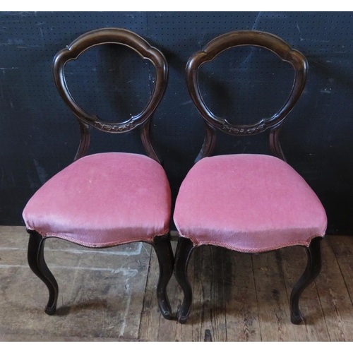 1555 - A Pair of Victorian Balloon Back Chairs