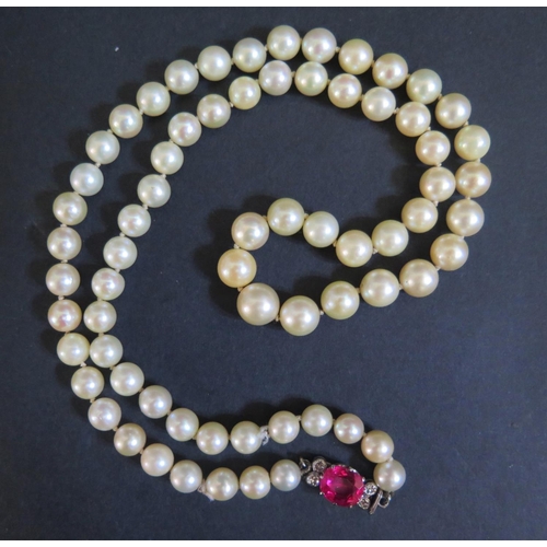 269 - A Single Strand Graduated Pearl Necklace with a ruby and diamond set precious white metal clasp, 55c... 