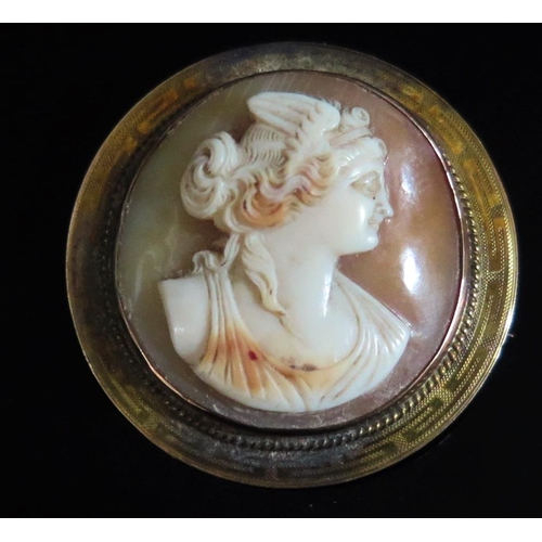 314 - A Shell Cameo Pendant / BroochClassical Bust of a Lady in an unmarked gold setting, inscribed Ruth 1... 