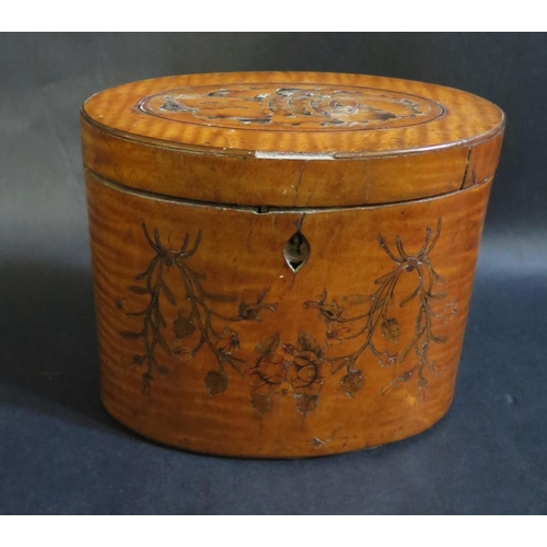 557a - A Regency Satinwood and Penwork Oval Tea Caddy, 12cm tall