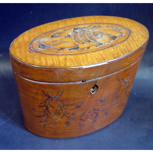 557a - A Regency Satinwood and Penwork Oval Tea Caddy, 12cm tall