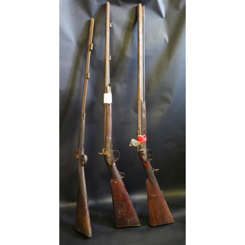 753b - Three Muzzle Loading Hammer Percussion Guns including one by Edward Adkin