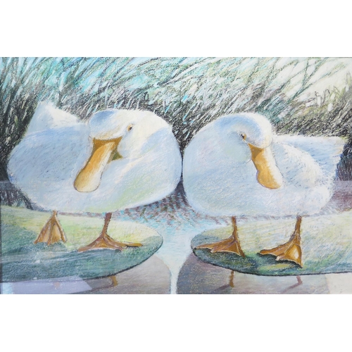 835 - Oliver Canti, British, late 20th/early 21st Century, 'Dallying Ducks', Oil Pastel on paper, Signed, ... 