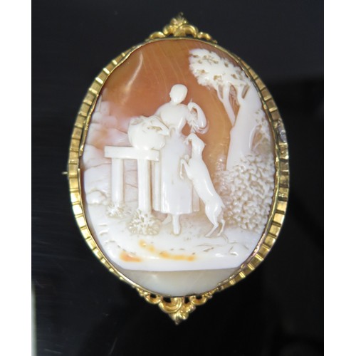 291a - A Large Shell Cameo Brooch decorated with a standing lady feeding a sheep and in an unmarked gold se... 