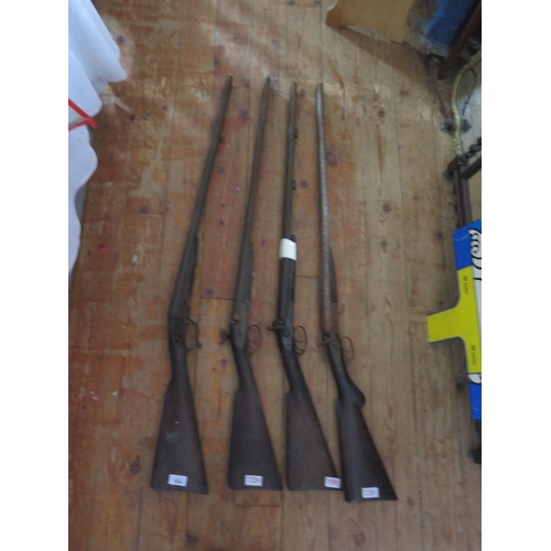 753A - Four Twin Barrel Hammer Percussion Shotguns