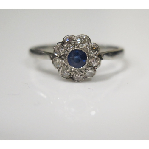 66 - A Platinum Ten Stone Sapphire and Diamond Cluster Ring, the single 3.5mm sapphire in a millegrain se... 