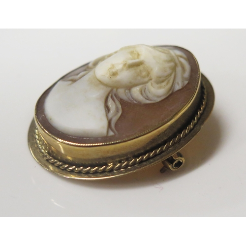 67 - A 9ct Gold Mounted Shell Cameo Brooch decorated with a female's bust, 35x28mm, 6.8g gross
