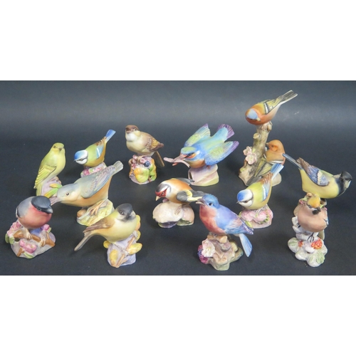 189 - A Collection of Thirteen Royal Worcester Bird Ornaments including a kingfisher