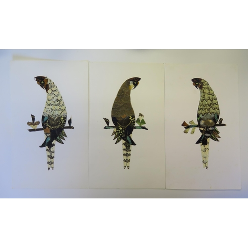 437A - Three 1960's Nigerian Butterfly Wing Pictures of Birds, 40x24cm
