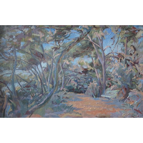 44 - David Rolt, Audun Gallery 1986 _ Path at Cap Ferret, oil on canvas, initialled DR and labelled verso... 