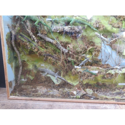 768 - A Large Taxidermy Reptile Display, 149(h)x122cm(h). A/F