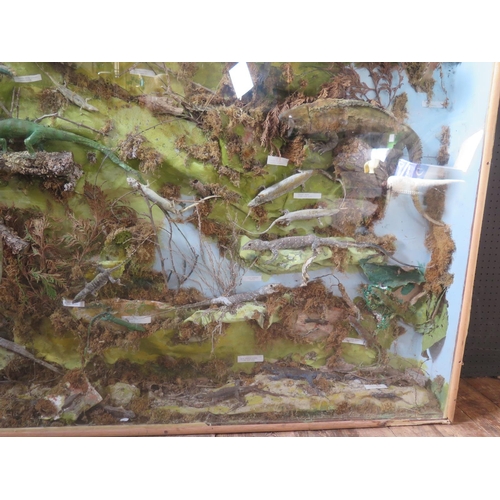 768 - A Large Taxidermy Reptile Display, 149(h)x122cm(h). A/F