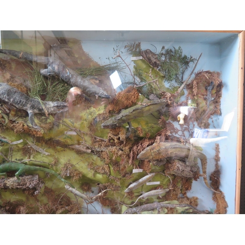 768 - A Large Taxidermy Reptile Display, 149(h)x122cm(h). A/F