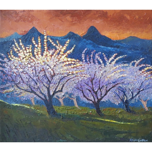 81 - Allan Cotton, blossom at sunset with mountains behind, oil on canvas, 41x35cm, framed

**TEL BID**