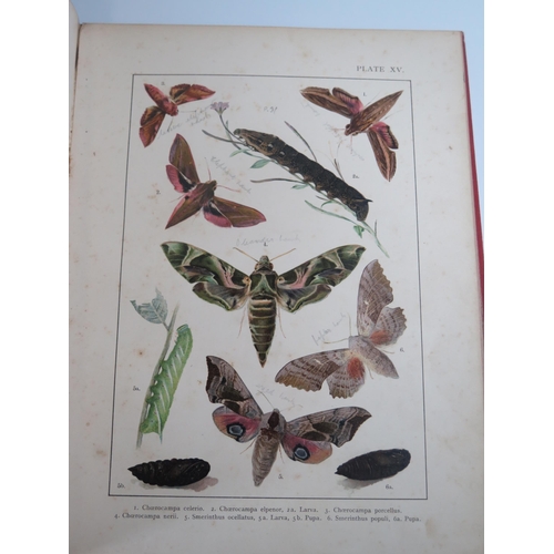 1433 - British and European Butterflies and Moths (Macrolepidoptera), Kappel and Kirby, published by Ernest... 