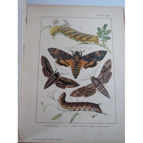 1433 - British and European Butterflies and Moths (Macrolepidoptera), Kappel and Kirby, published by Ernest... 