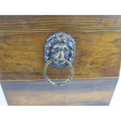 152 - An Early 19th Century Rosewood and Boxwood Strung Tea Caddy with twin lion mask handles and standing... 