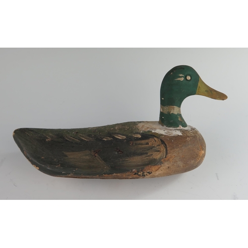 153 - A 19th Century Carved and Painted Treen Mallard Decoy Duck, 27 cm