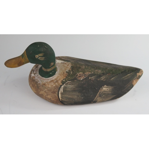 153 - A 19th Century Carved and Painted Treen Mallard Decoy Duck, 27 cm