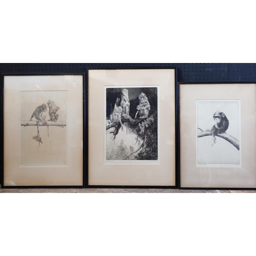 233 - Leonard Robert Brightwell (1889-1962), Three Pencil Signed Etchings: The Family Tree (framed & glaze... 