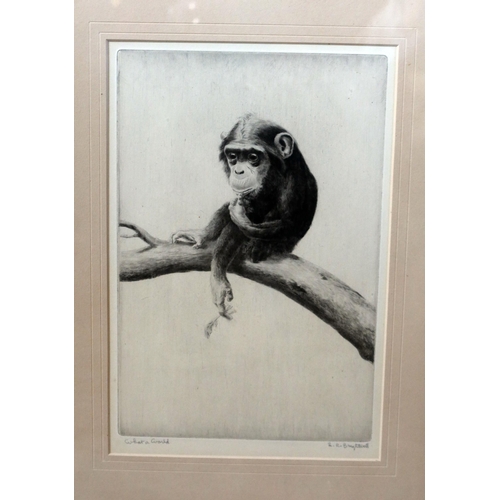 233 - Leonard Robert Brightwell (1889-1962), Three Pencil Signed Etchings: The Family Tree (framed & glaze... 