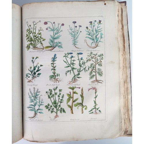 172A - Culpeper's Herbal, Printed for The Author, And Sold At The British Directory Office. An undated copy... 